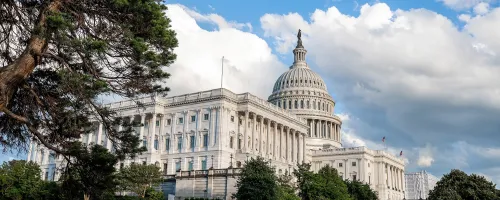 New York to Washington D.C.