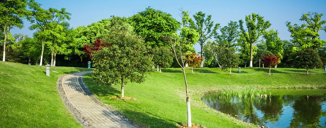 A scenic park with a winding path through lush green meadows and trees, leading towards a pond, under a clear blue sky