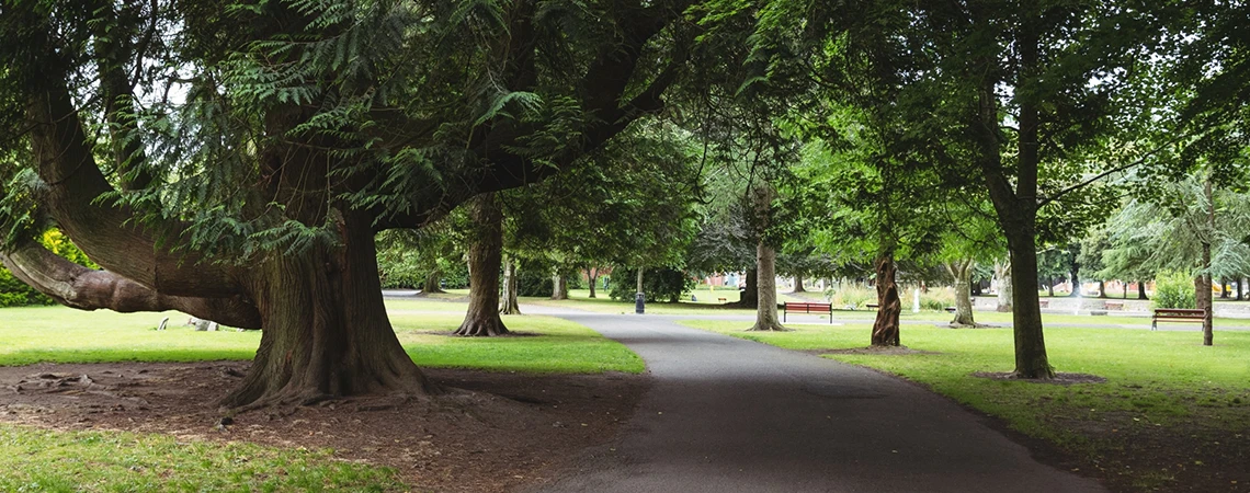 The image shows a scenic pathway lined with large trees in Flushing Meadows-Corona Park.