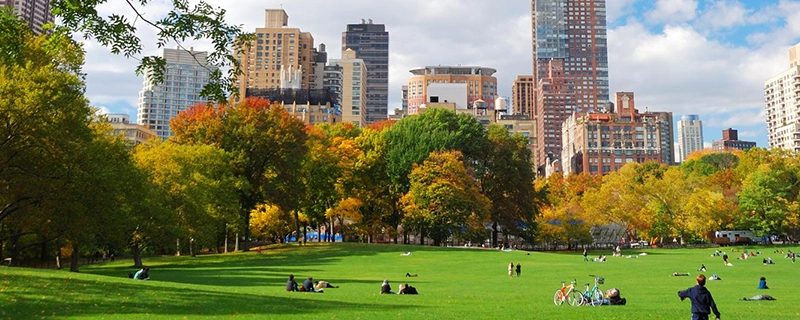 A scenic image of Central Park with lush green trees and a distant city skyline, ideal for family outings. The scene promotes a safe and comfortable ride for kids with child safety seat options and child safety seat availability.