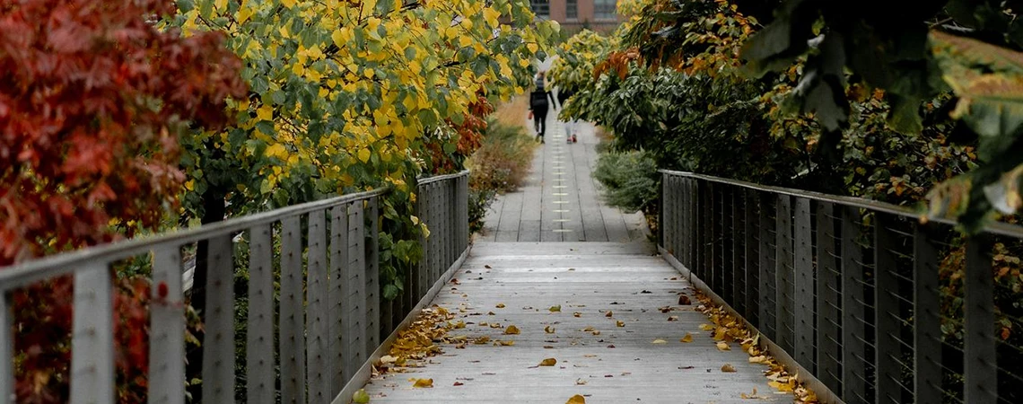A serene autumn scene of a pedestrian bridge surrounded by colorful fall foliage, depicting a day in Manhattan, with car service Manhattan available for convenient exploration.