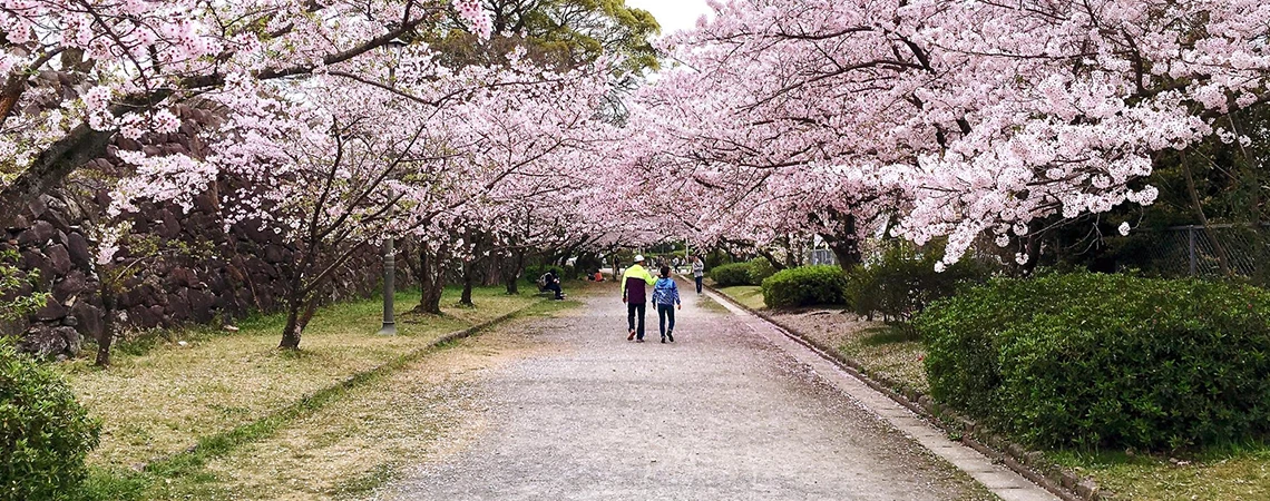 Enjoy a day in Newark with Newark car service, featuring a scenic walk at Branch Brook Park.