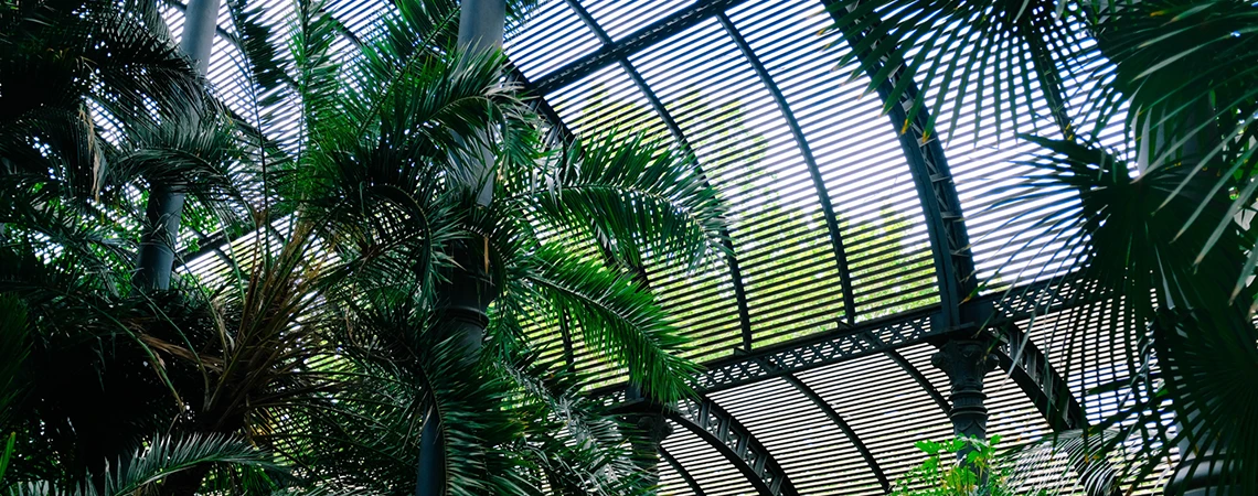 A lush, green view of the New York Botanical Garden with a glass conservatory in the background.